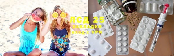 ГАЛЛЮЦИНОГЕННЫЕ ГРИБЫ Аркадак