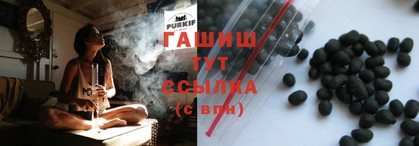 индика Козельск