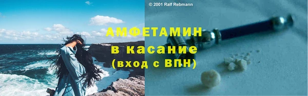 ГАЛЛЮЦИНОГЕННЫЕ ГРИБЫ Аркадак